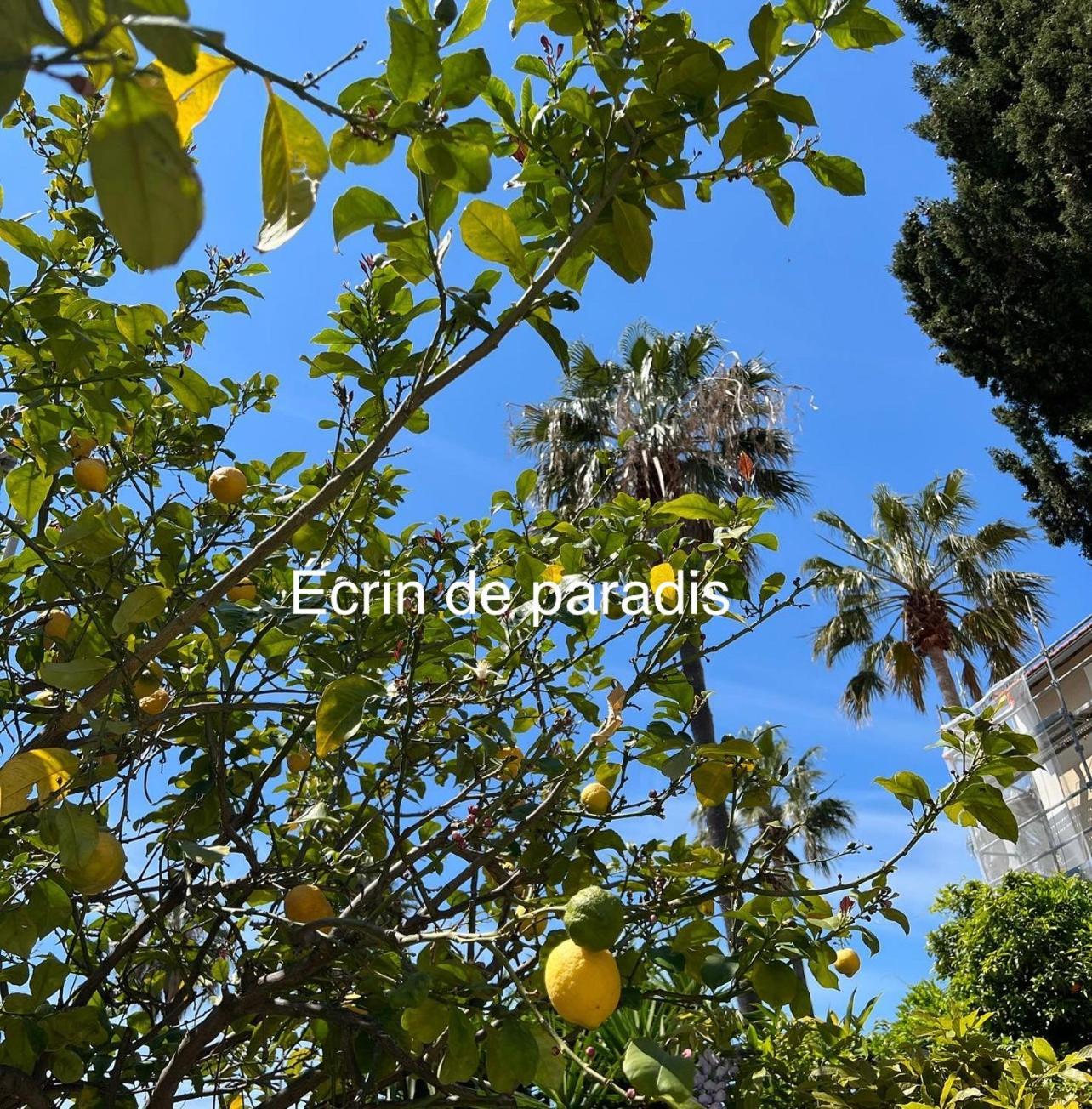 Casa Andrea Appartement Tout A Pied Avec Grand Jardin Sanary-sur-Mer Exterior foto