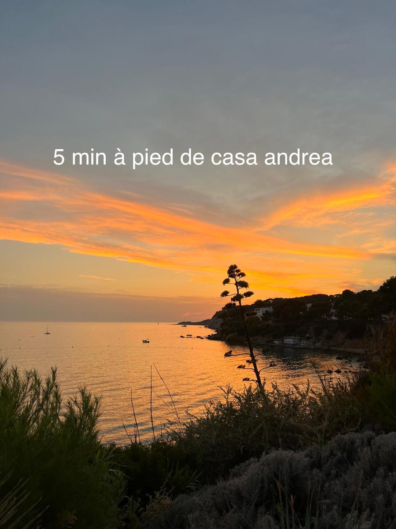 Casa Andrea Appartement Tout A Pied Avec Grand Jardin Sanary-sur-Mer Exterior foto